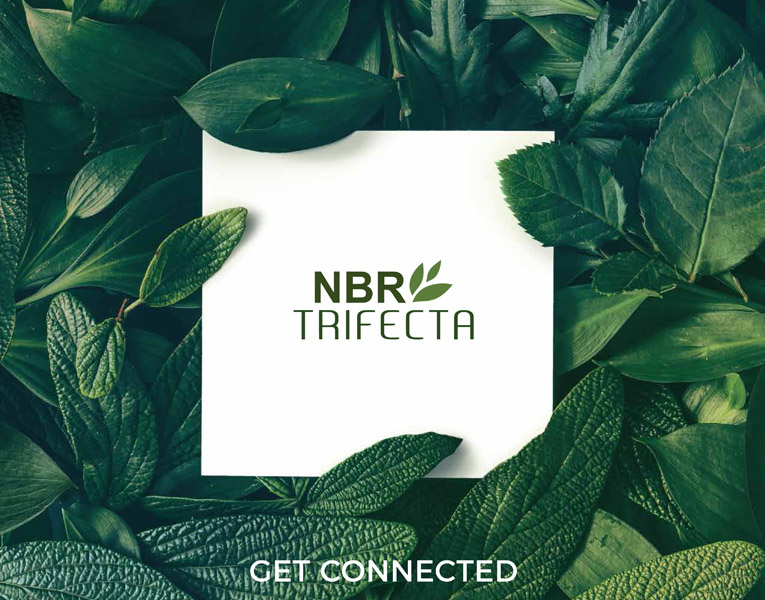 NBR Brochure